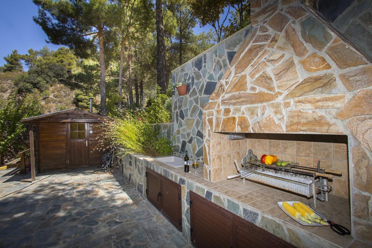 Ricky Chalet Near Troodos Spilia Exterior foto